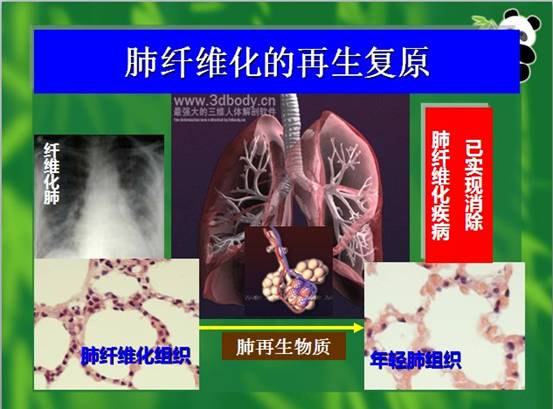 九五至尊VI-老品牌值得信赖!
